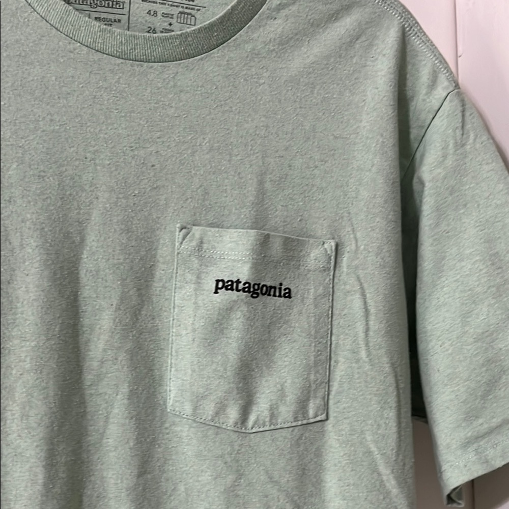 Patagonia Men's Green T-Shirt Daily Pocket Tee - Picture 2 of 4